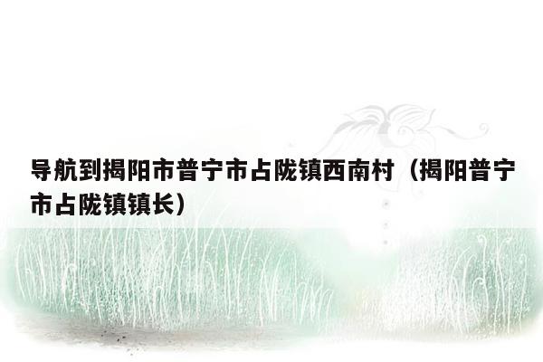 导航到揭阳市普宁市占陇镇西南村（揭阳普宁市占陇镇镇长）