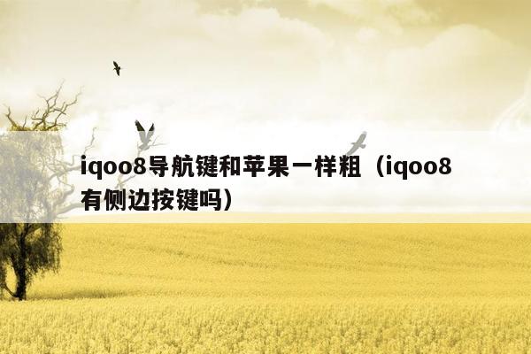 iqoo8导航键和苹果一样粗（iqoo8有侧边按键吗）