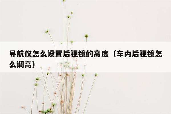 导航仪怎么设置后视镜的高度（车内后视镜怎么调高）