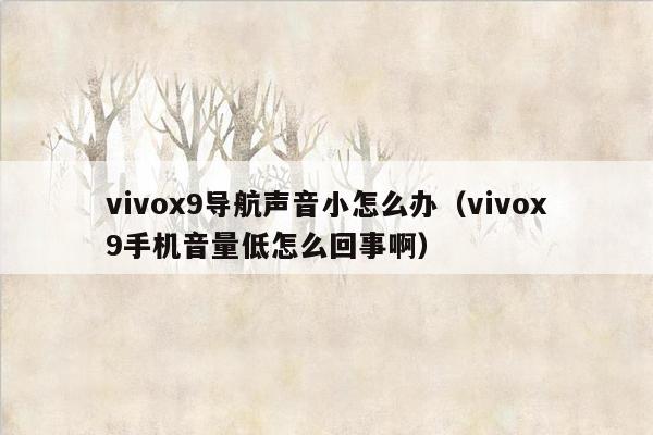 vivox9导航声音小怎么办（vivox9手机音量低怎么回事啊）