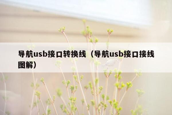 导航usb接口转换线（导航usb接口接线图解）