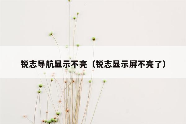 锐志导航显示不亮（锐志显示屏不亮了）