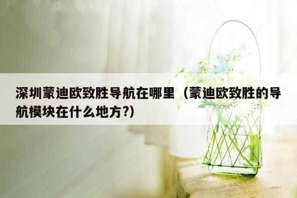 深圳蒙迪欧致胜导航在哪里（蒙迪欧致胜的导航模块在什么地方?）