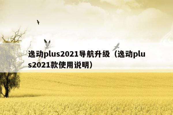 逸动plus2021导航升级（逸动plus2021款使用说明）