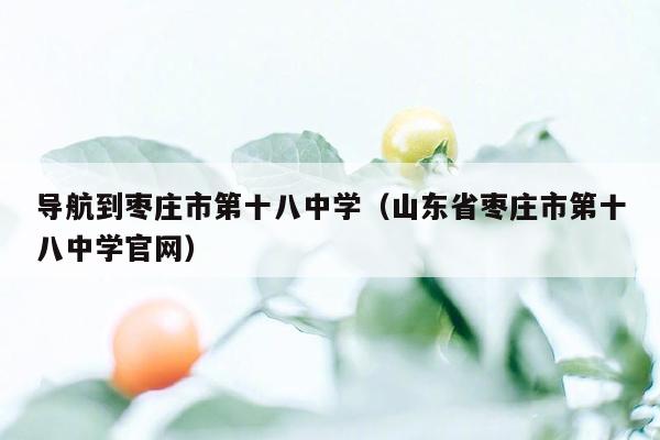 导航到枣庄市第十八中学（山东省枣庄市第十八中学官网）