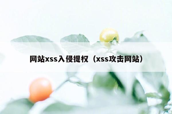 网站xss入侵提权（xss攻击网站）