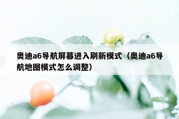 奥迪a6导航屏幕进入刷新模式（奥迪a6导航地图模式怎么调整）