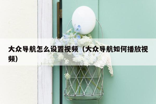 大众导航怎么设置视频（大众导航如何播放视频）