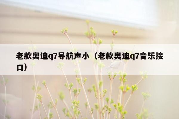 老款奥迪q7导航声小（老款奥迪q7音乐接口）