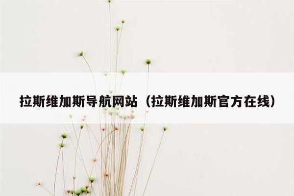 拉斯维加斯导航网站（拉斯维加斯官方在线）