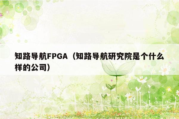 知路导航FPGA（知路导航研究院是个什么样的公司）