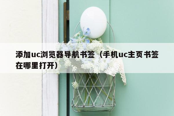 添加uc浏览器导航书签（手机uc主页书签在哪里打开）