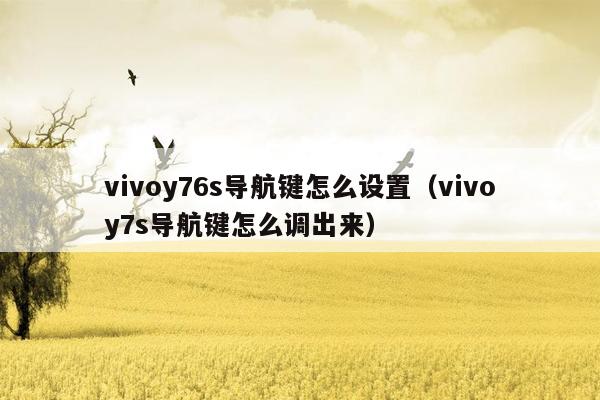 vivoy76s导航键怎么设置（vivoy7s导航键怎么调出来）