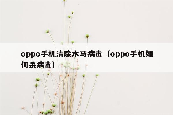 oppo手机清除木马病毒（oppo手机如何杀病毒）