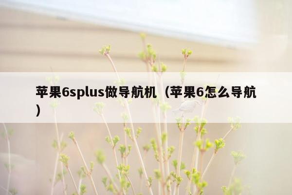 苹果6splus做导航机（苹果6怎么导航）