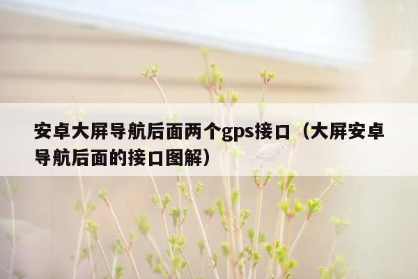 安卓大屏导航后面两个gps接口（大屏安卓导航后面的接口图解）