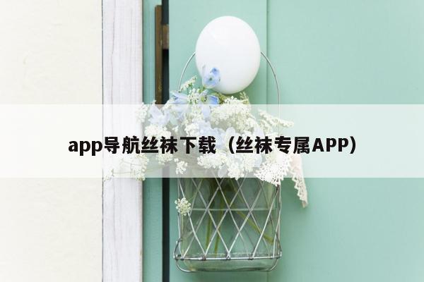 app导航丝袜下载（丝袜专属APP）