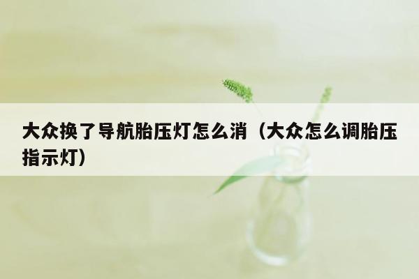 大众换了导航胎压灯怎么消（大众怎么调胎压指示灯）