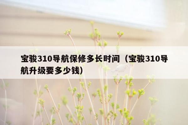 宝骏310导航保修多长时间（宝骏310导航升级要多少钱）