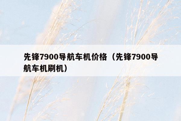 先锋7900导航车机价格（先锋7900导航车机刷机）