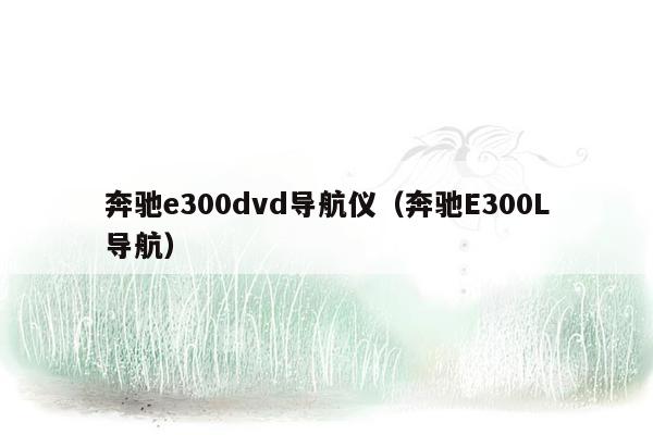 奔驰e300dvd导航仪（奔驰E300L导航）