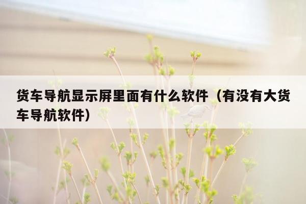 货车导航显示屏里面有什么软件（有没有大货车导航软件）