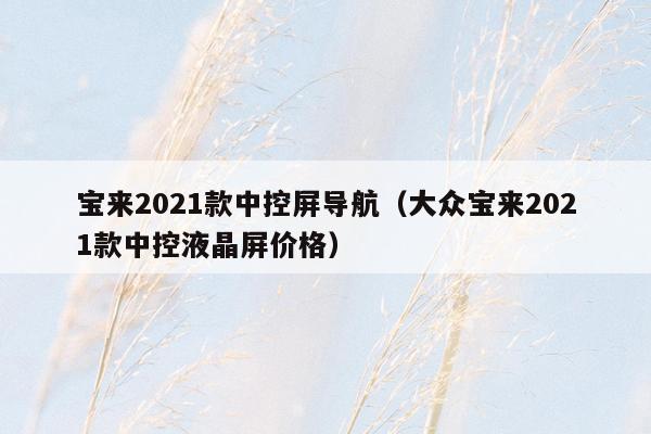 宝来2021款中控屏导航（大众宝来2021款中控液晶屏价格）