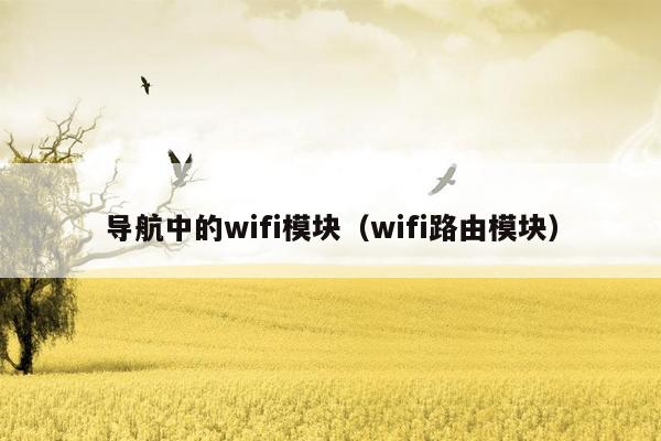 导航中的wifi模块（wifi路由模块）