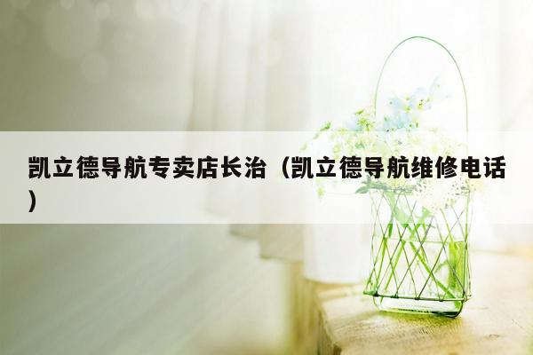 凯立德导航专卖店长治（凯立德导航维修电话）