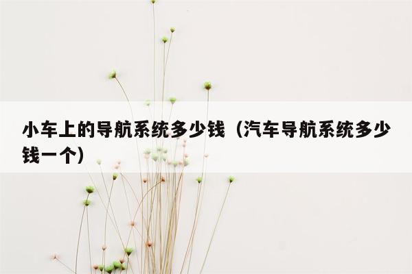 小车上的导航系统多少钱（汽车导航系统多少钱一个）