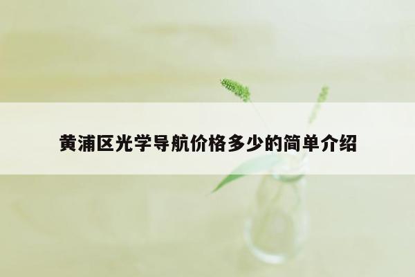 黄浦区光学导航价格多少的简单介绍