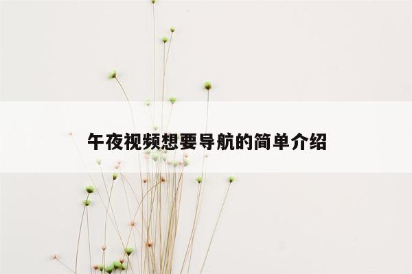 午夜视频想要导航的简单介绍