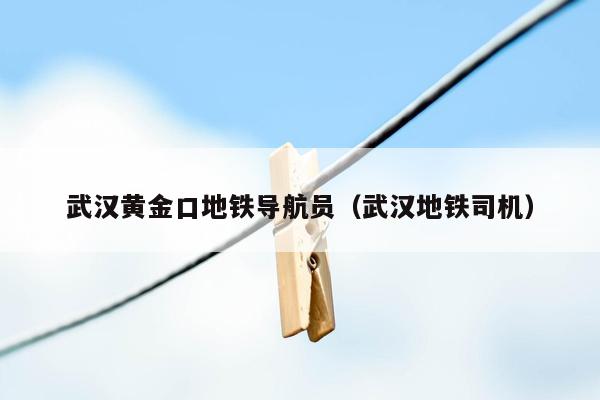 武汉黄金口地铁导航员（武汉地铁司机）