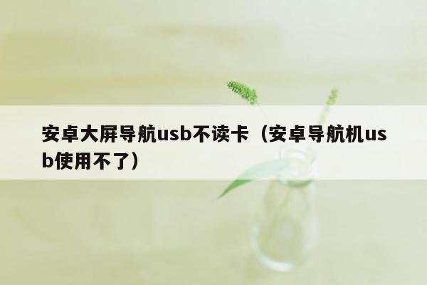 安卓大屏导航usb不读卡（安卓导航机usb使用不了）