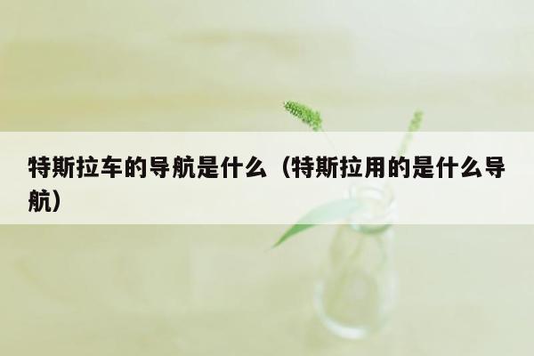 特斯拉车的导航是什么（特斯拉用的是什么导航）