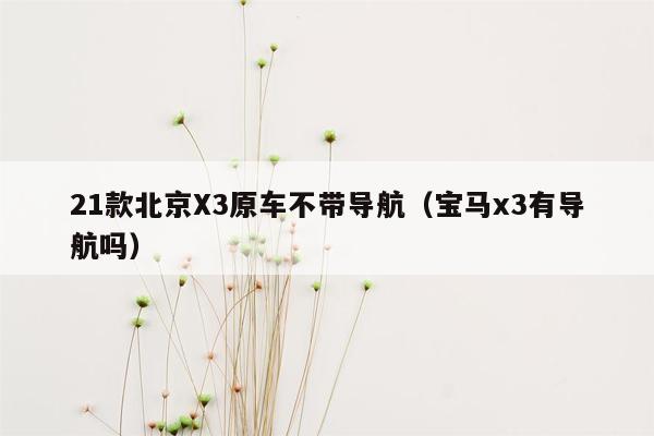 21款北京X3原车不带导航（宝马x3有导航吗）