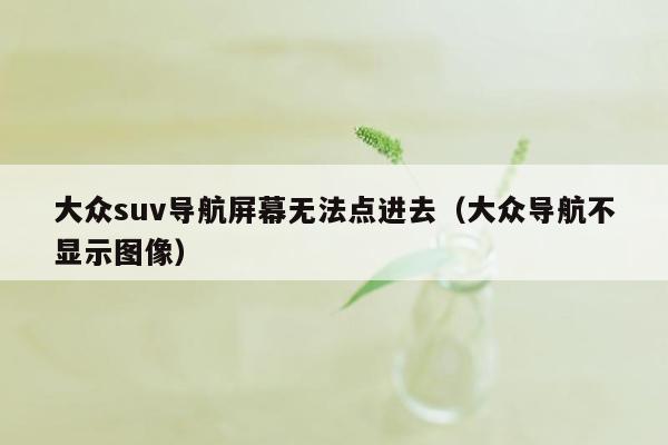 大众suv导航屏幕无法点进去（大众导航不显示图像）