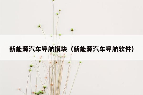 新能源汽车导航模块（新能源汽车导航软件）