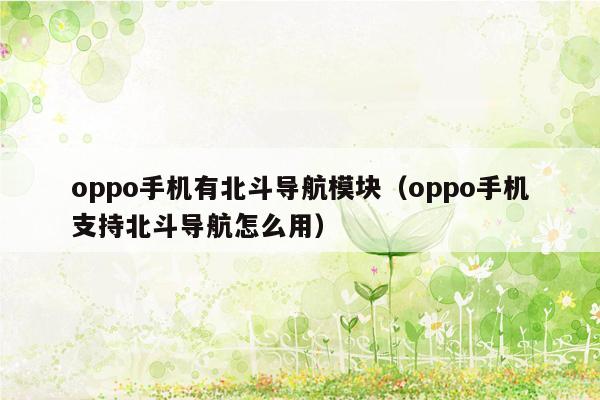 oppo手机有北斗导航模块（oppo手机支持北斗导航怎么用）