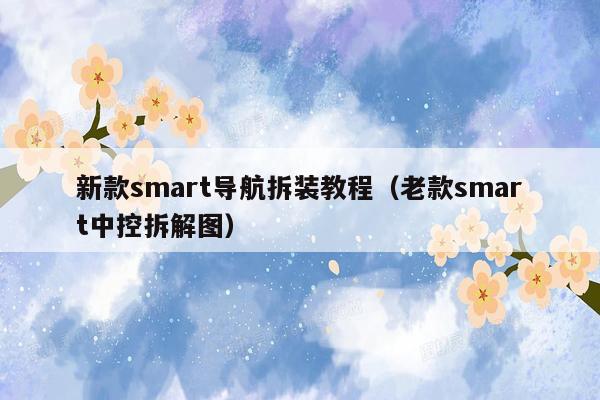 新款smart导航拆装教程（老款smart中控拆解图）