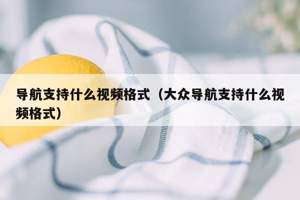 导航支持什么视频格式（大众导航支持什么视频格式）